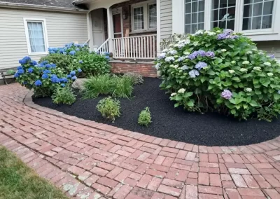 Best Landscaping Services