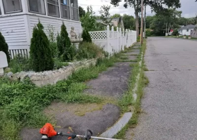 Competent Landscaping Services