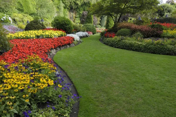 Gardening Services Gardening Services