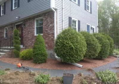 Good Landscaping Services