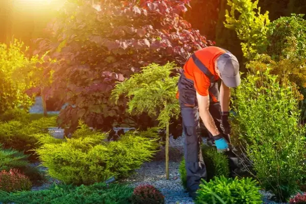 Landscaping Contractor in Lawrence, MA Landscaping Contractor in Lawrence, MA