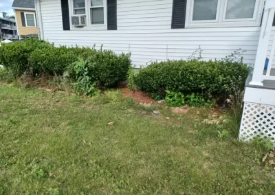 Landscaping Services
