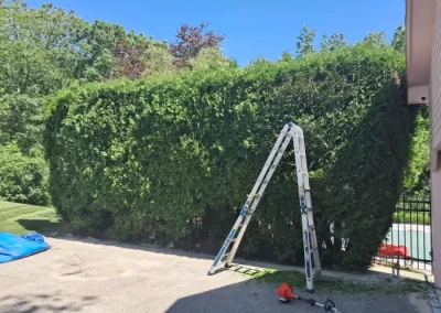 Quality Landscaping Services