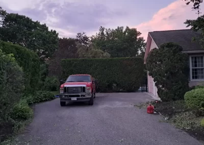 Reliable Landscaping Services
