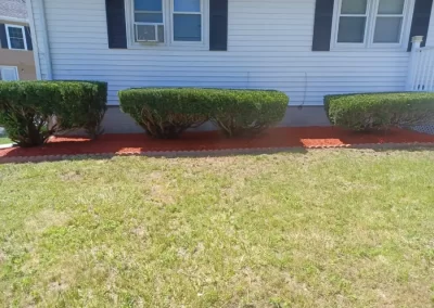 Superb Landscaping Services