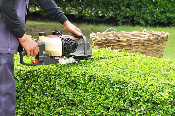 Bush Trimming in Lawrence, MA