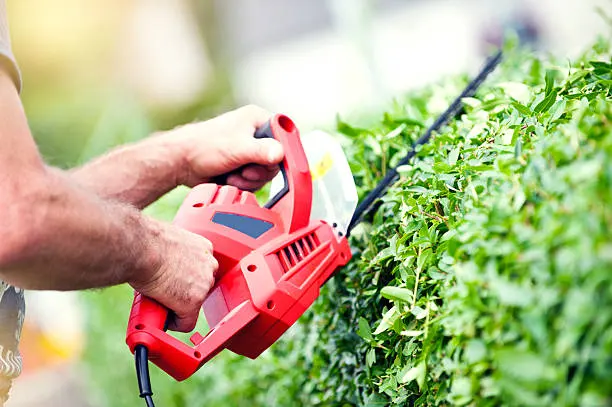Bush Trimming in Lawrence, MA